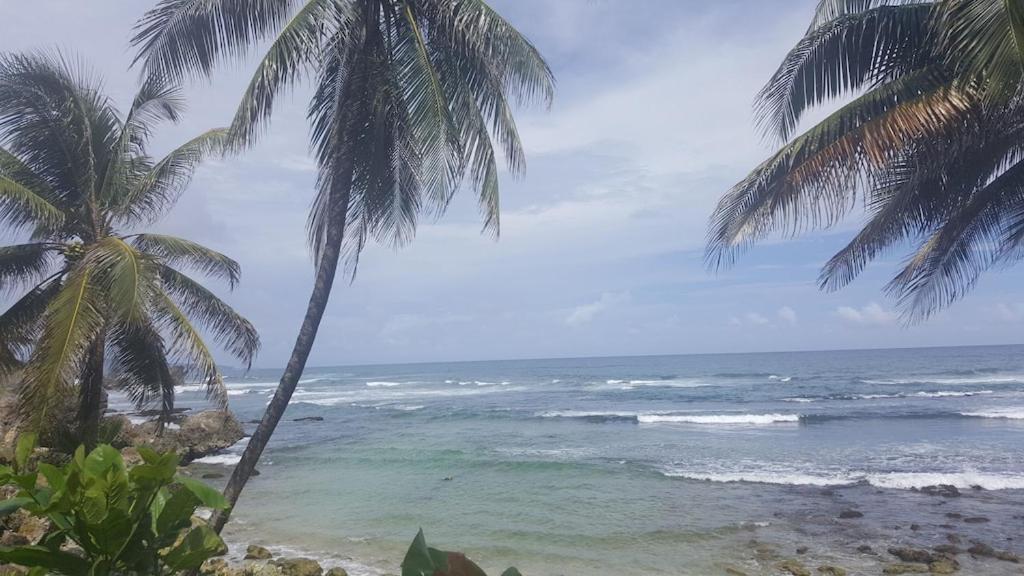 Вилла Donamae 2 Story Barbados House Бриджтаун Экстерьер фото